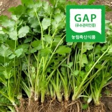 [신선n] 농장직송! 하우스에서 키운 뿌리 비세척 고수 400g