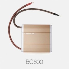 차량출력 증강기 케어셀 부스터캡 (BC600, BC1000)
